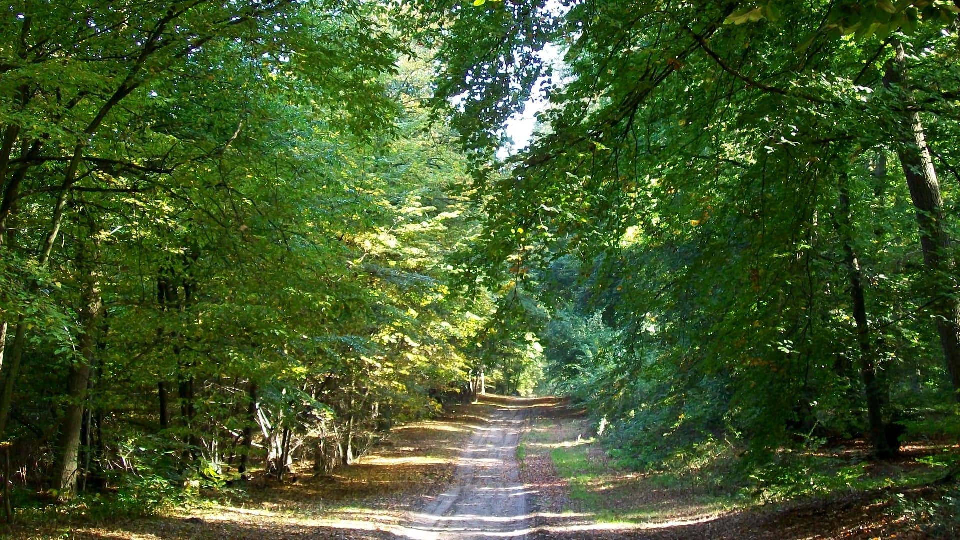 Vue de Verneuil-en-Halatte, Oise (60)